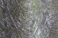 Archerfield The Village fibreglass roof work